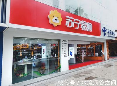 中文域名对服装服饰零售品牌的重要性与优点——以苏宁易购为例